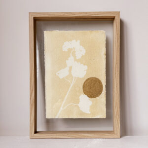 Cyanotype 11 - Hortensia