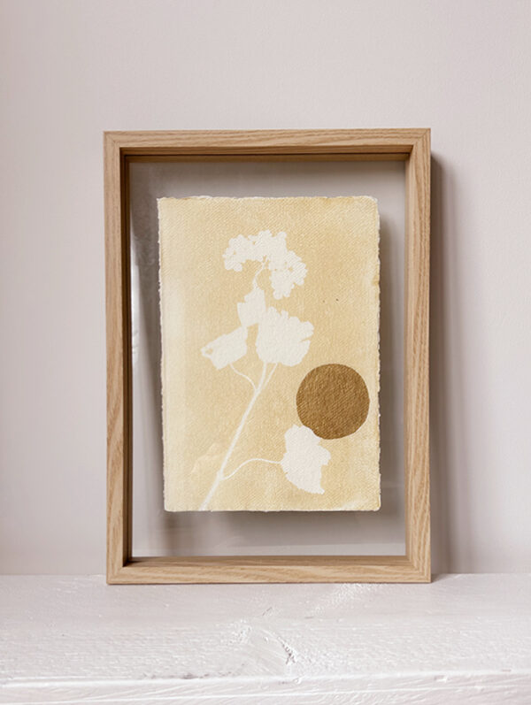 Cyanotype 11 - Hortensia